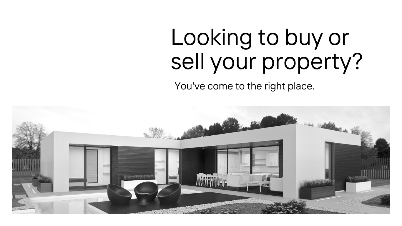 Professional Real Estate Agent Website
